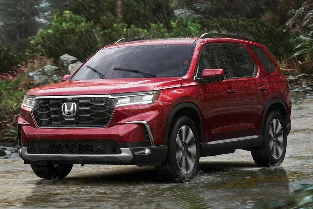 شاسی بلندهای مردانه در سال ۲۰۲۵