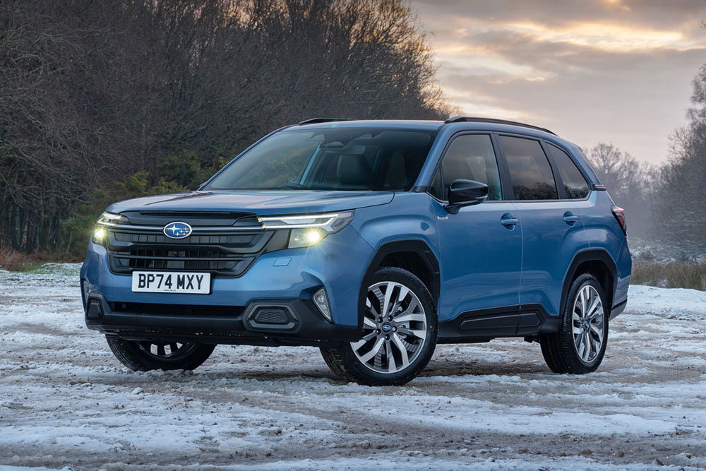 شاسی بلندهای مردانه در سال ۲۰۲۵