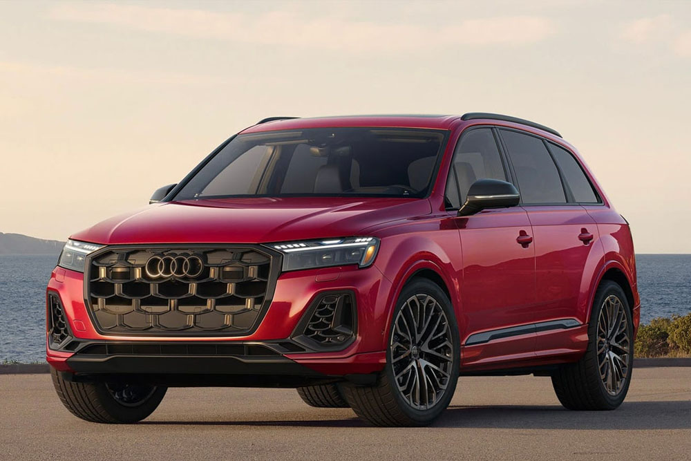 شاسی بلندهای مردانه در سال ۲۰۲۵