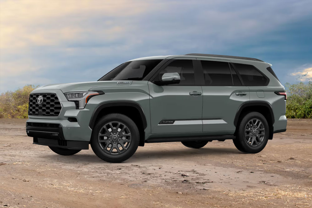 شاسی بلندهای مردانه در سال ۲۰۲۵