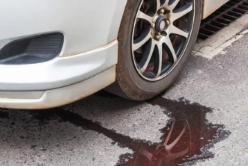 کارتر موتور